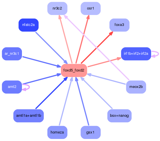 PNG image of the network