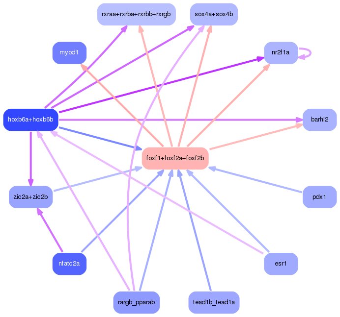 PNG image of the network