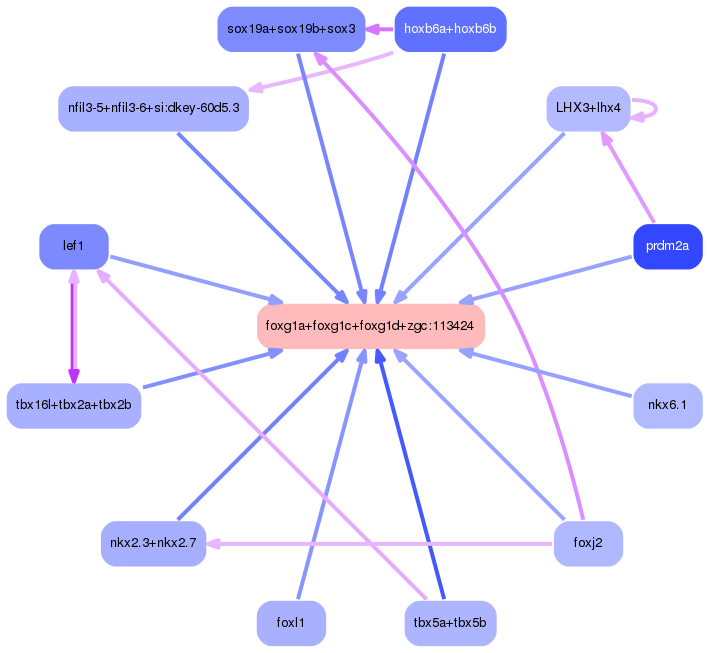 PNG image of the network