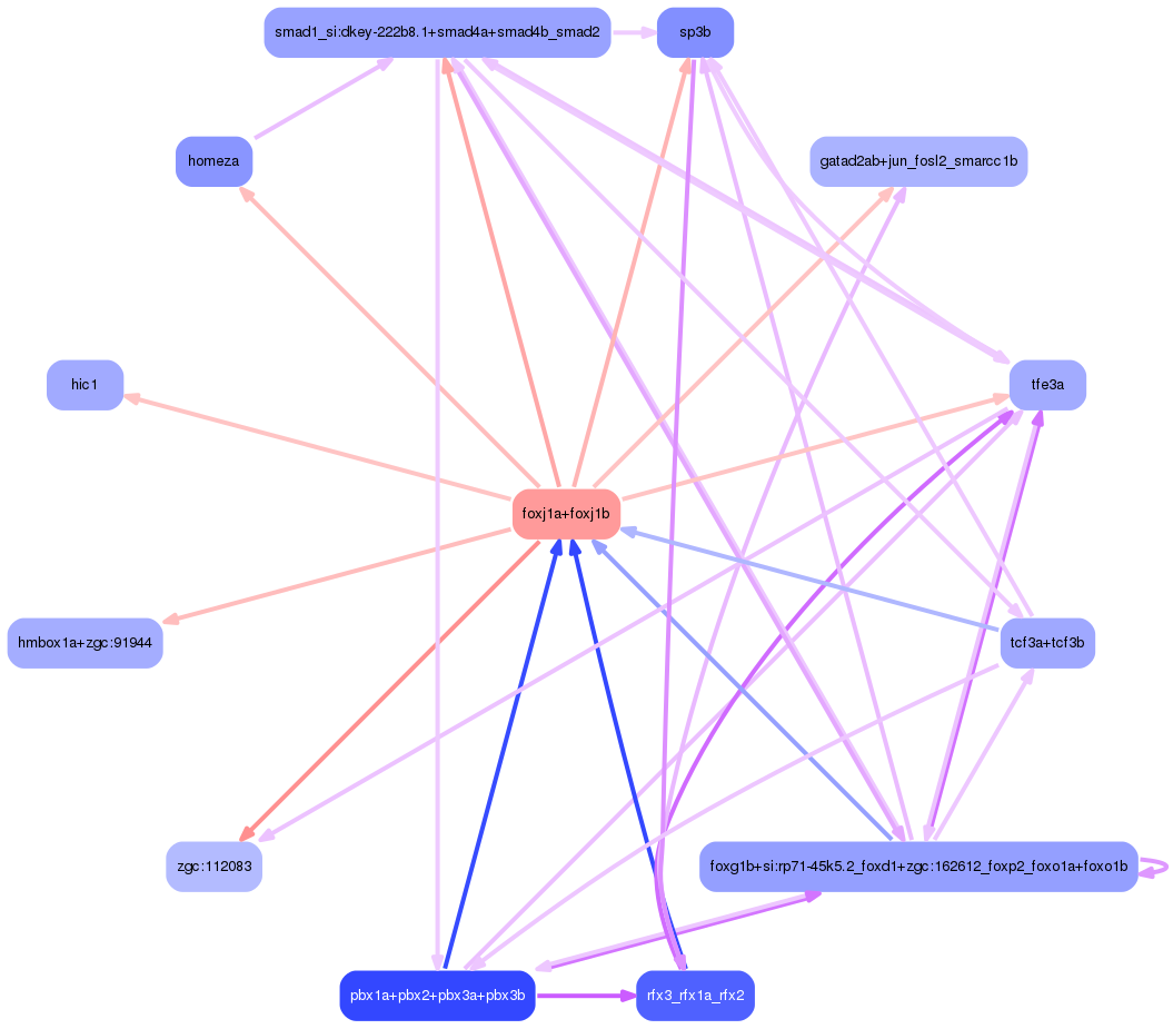 PNG image of the network