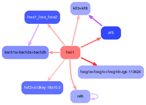 PNG image of the network