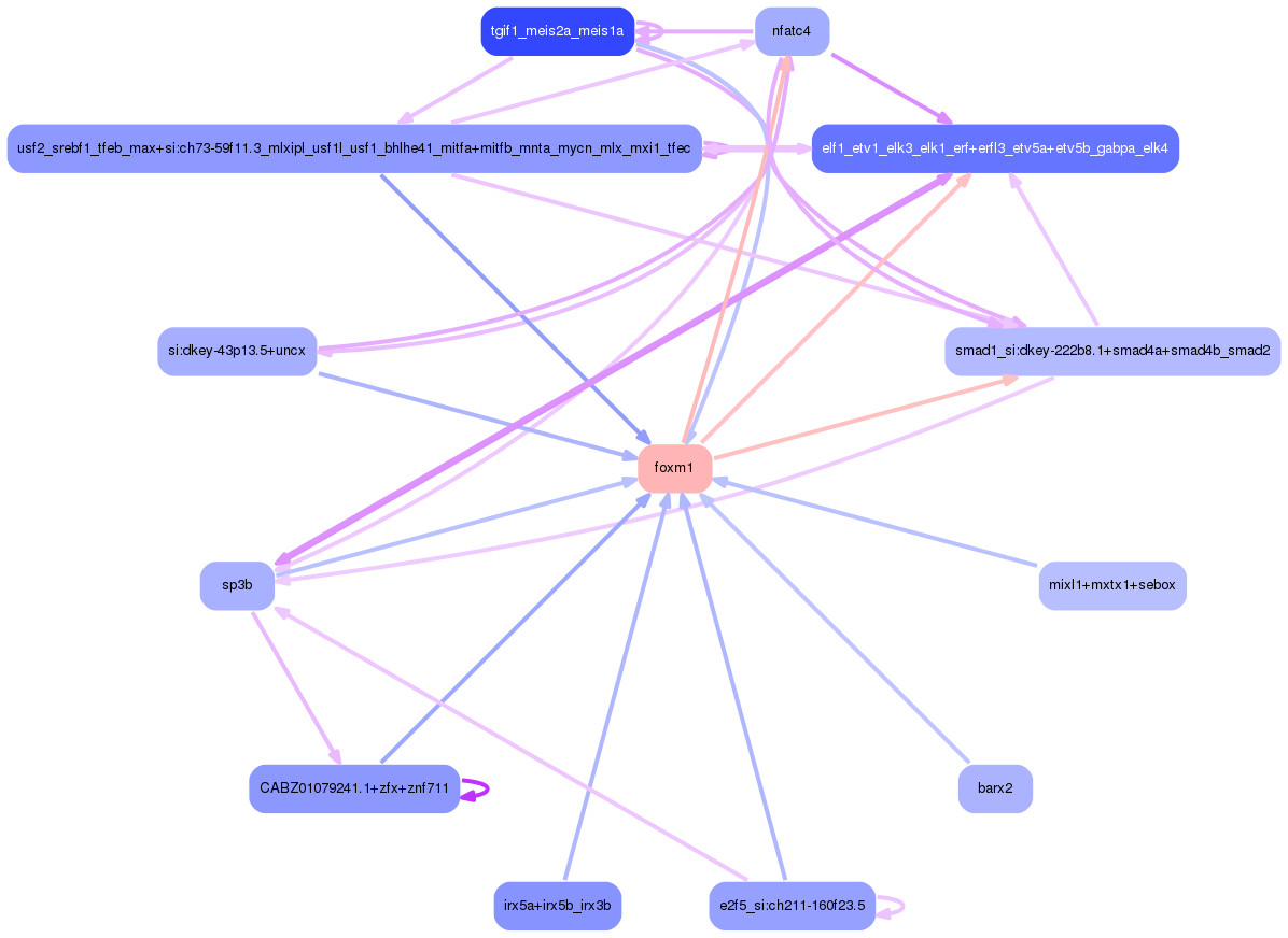 PNG image of the network