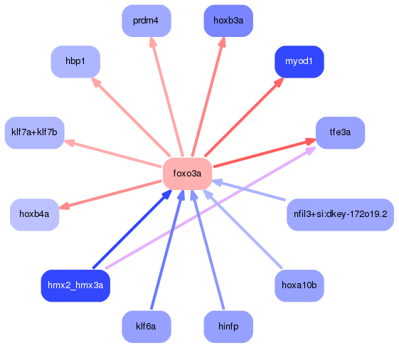 PNG image of the network