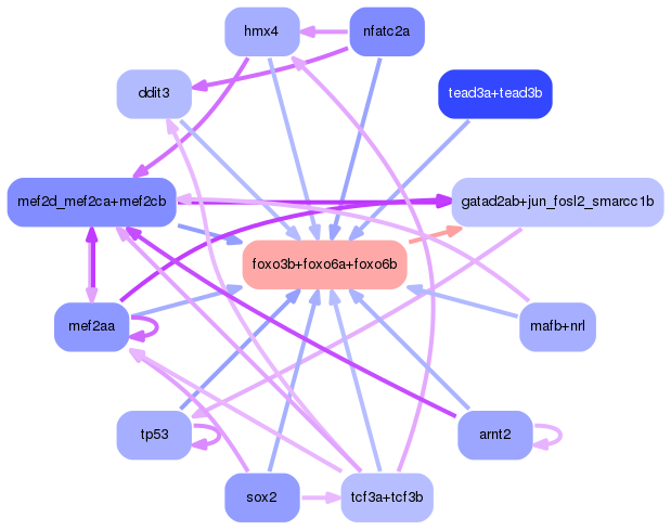 PNG image of the network