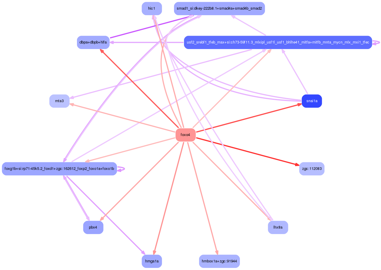 PNG image of the network