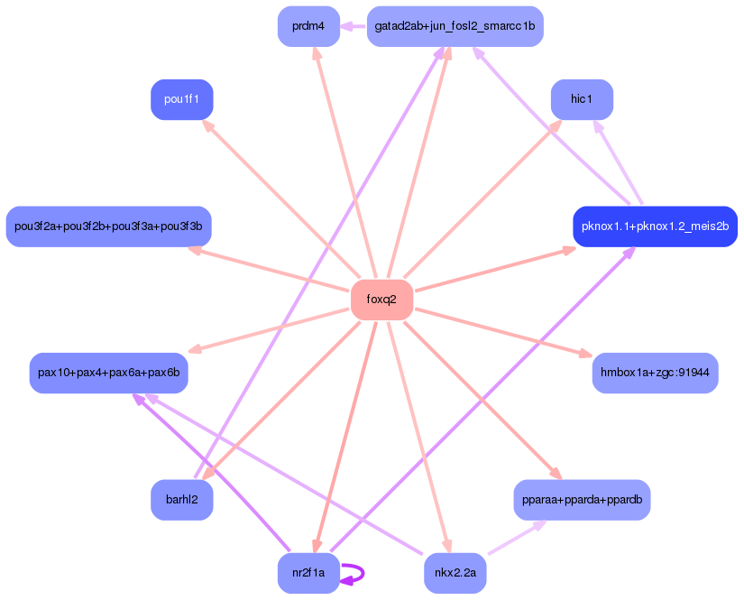 PNG image of the network