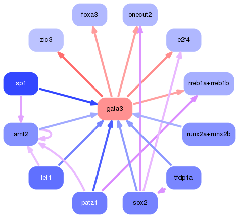 PNG image of the network