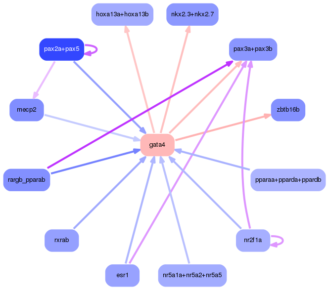 PNG image of the network