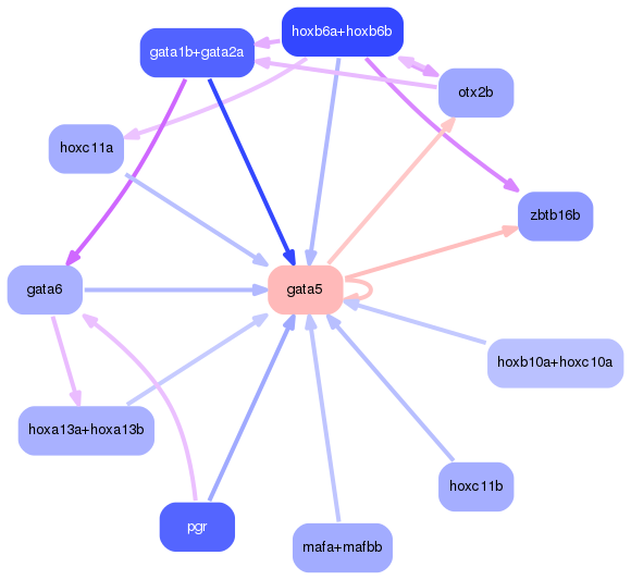 PNG image of the network