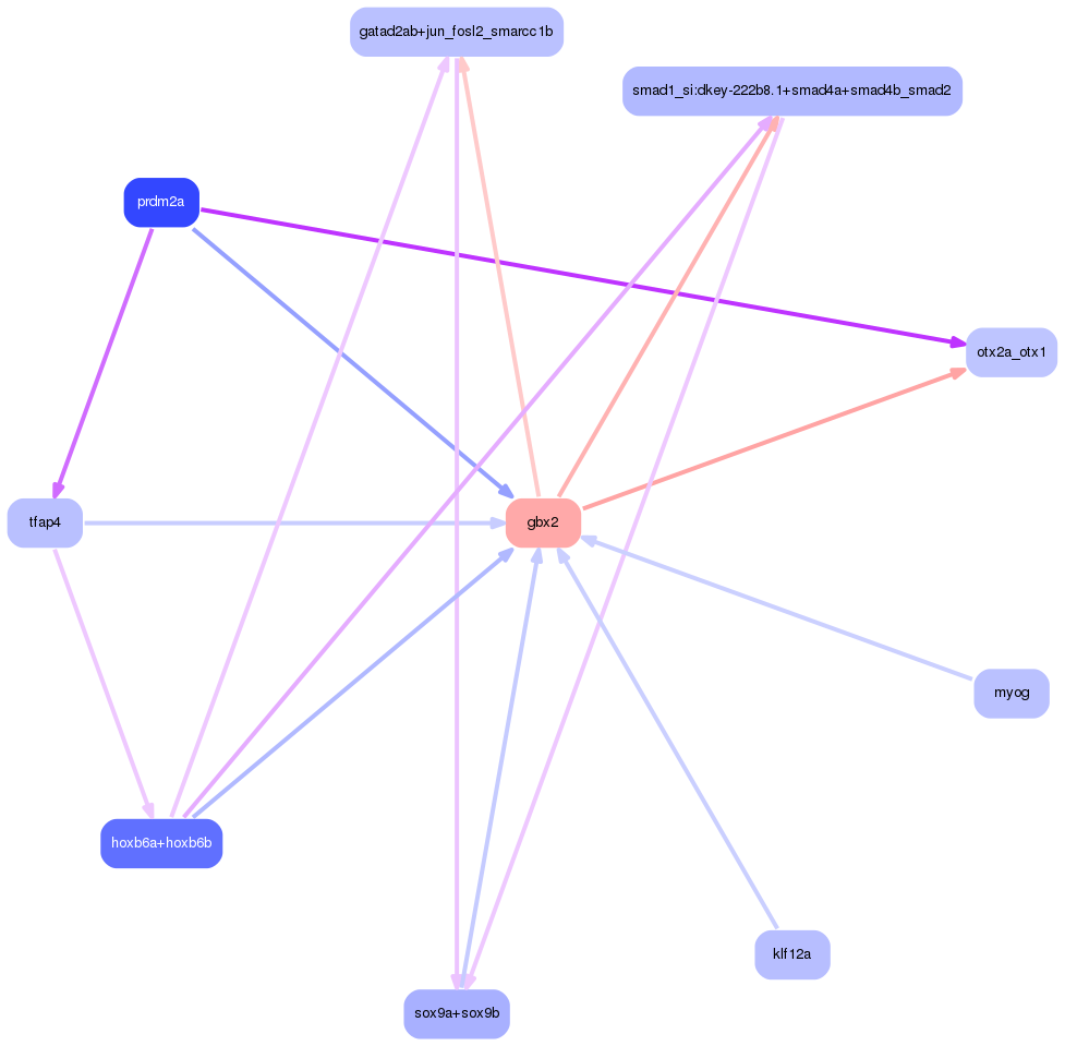 PNG image of the network