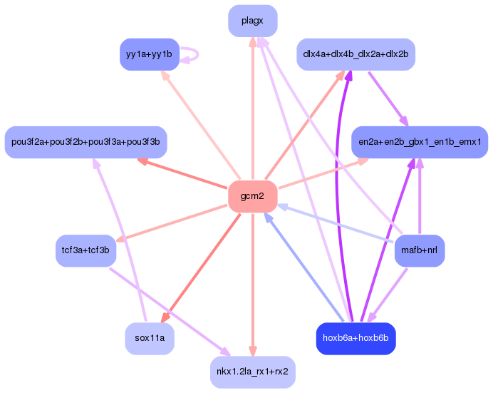 PNG image of the network