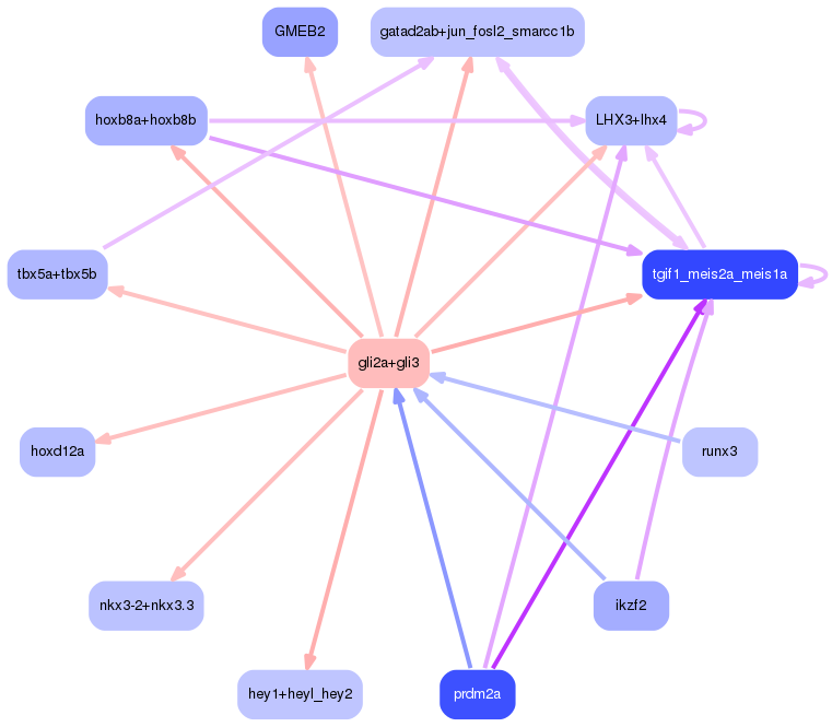 PNG image of the network