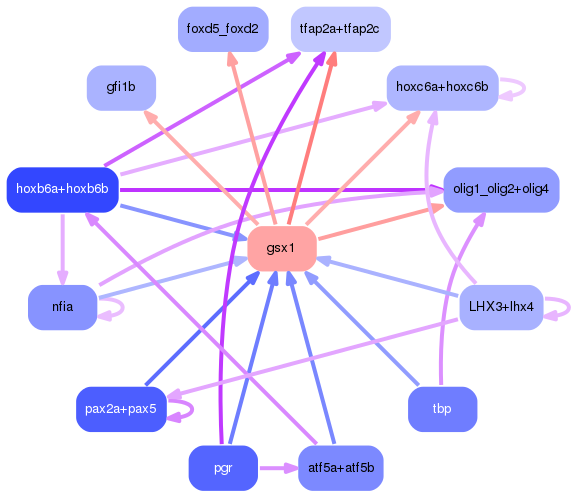 PNG image of the network