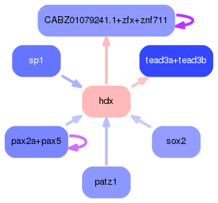 PNG image of the network