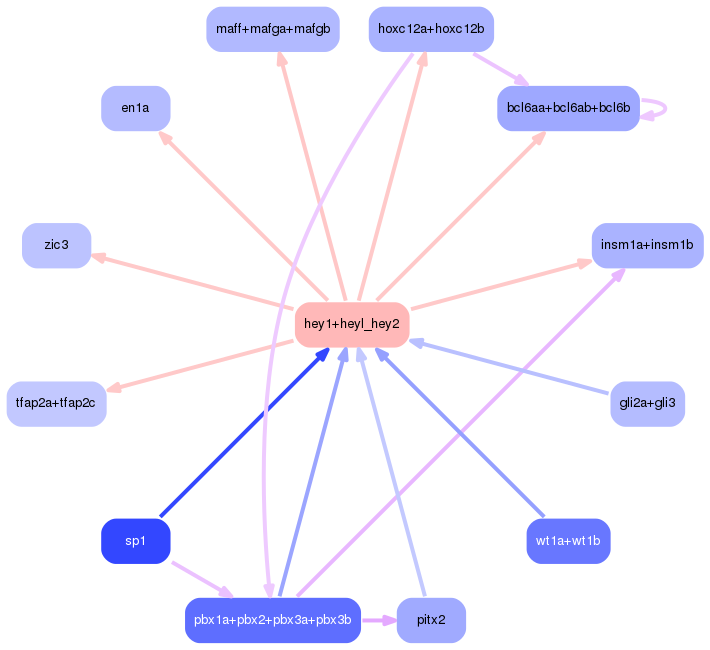 PNG image of the network
