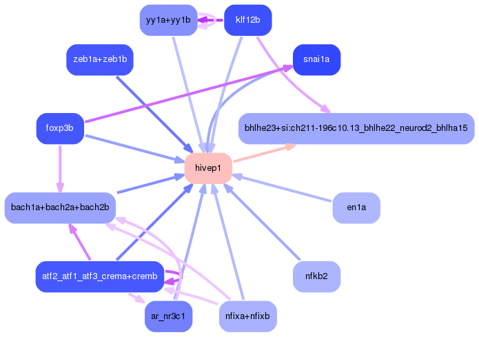 PNG image of the network
