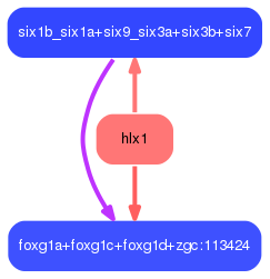 PNG image of the network
