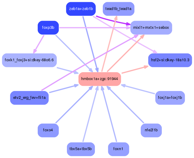 PNG image of the network