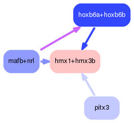 PNG image of the network