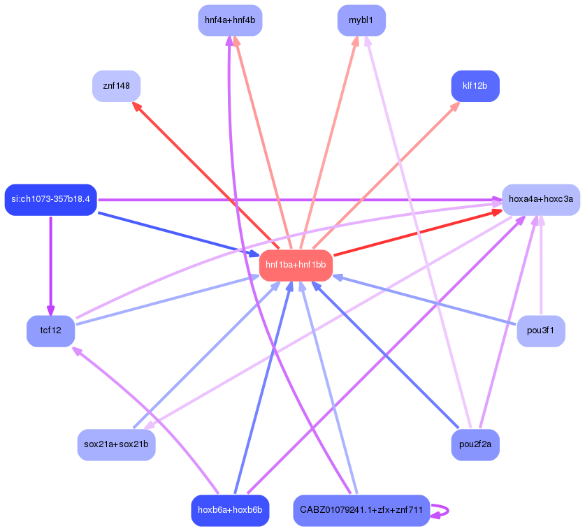 PNG image of the network