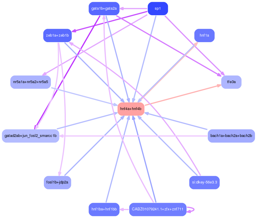 PNG image of the network