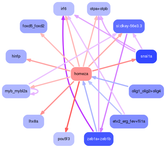 PNG image of the network