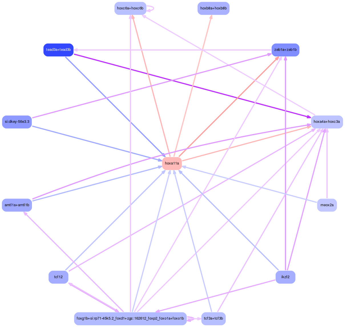 PNG image of the network