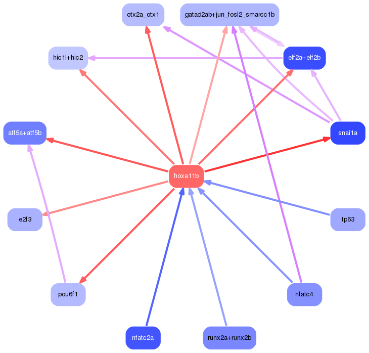 PNG image of the network