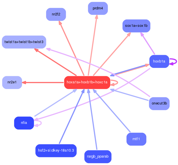 PNG image of the network