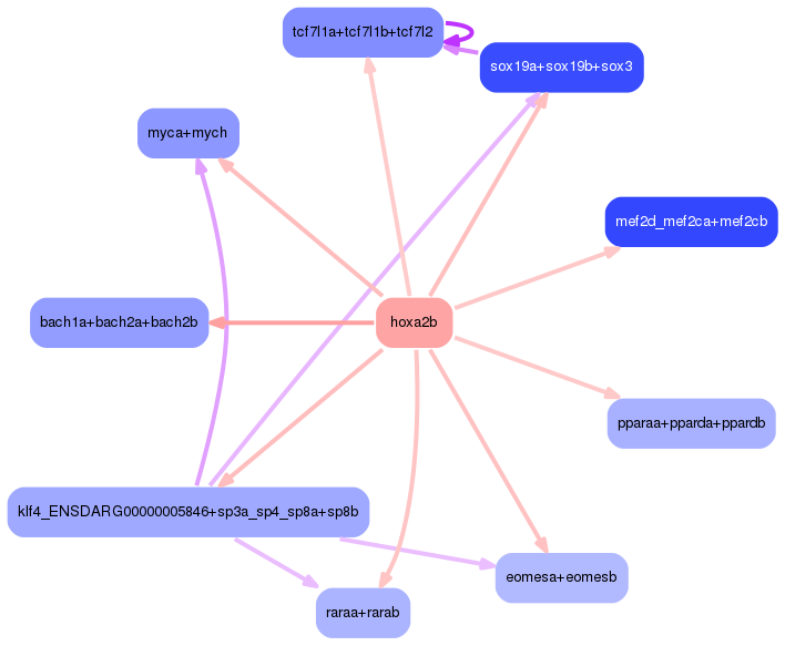 PNG image of the network