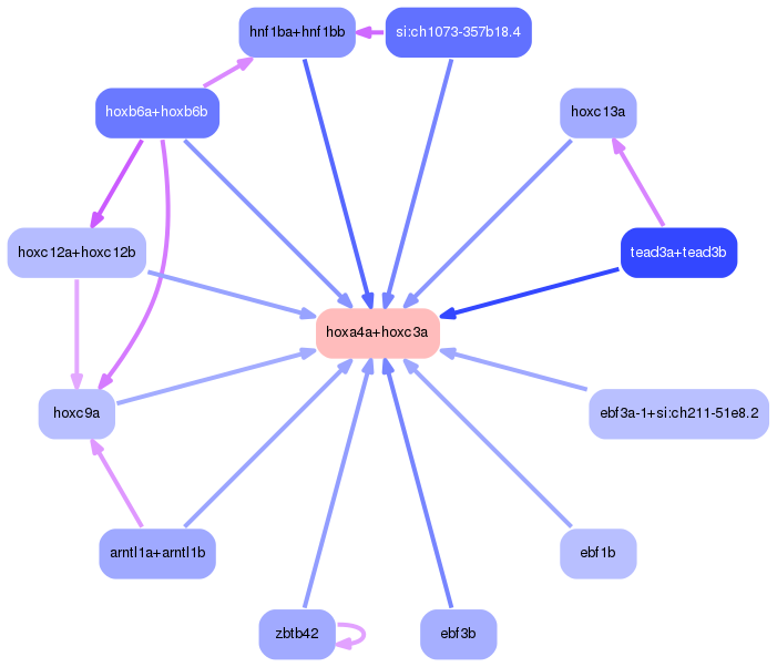 PNG image of the network