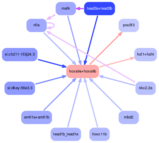 PNG image of the network