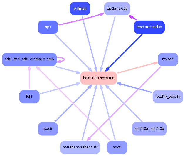 PNG image of the network