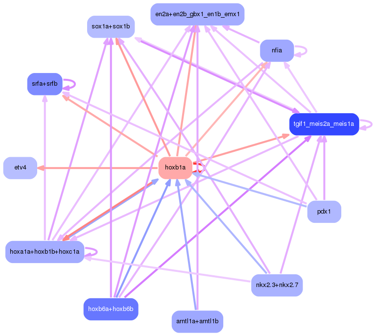 PNG image of the network