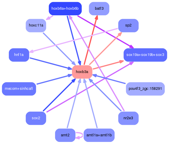 PNG image of the network