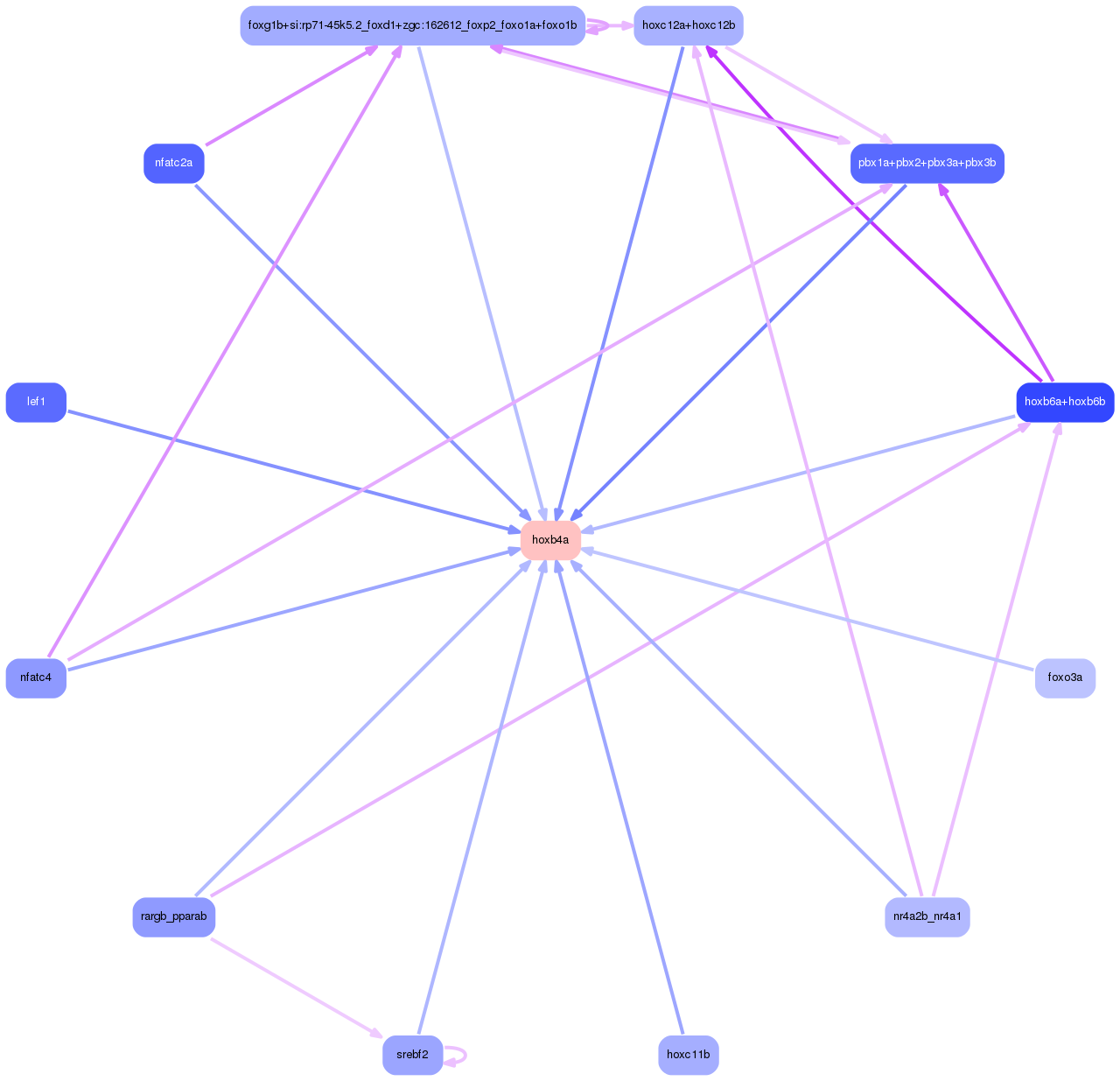PNG image of the network