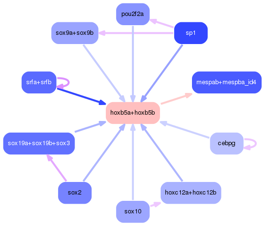 PNG image of the network