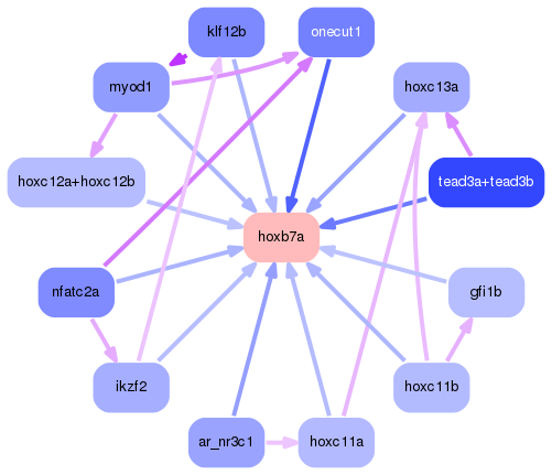 PNG image of the network