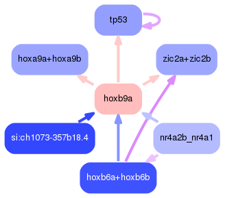 PNG image of the network