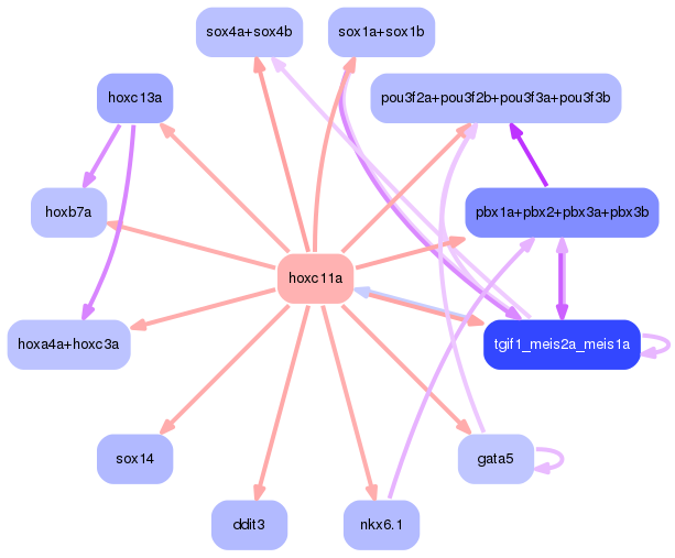 PNG image of the network