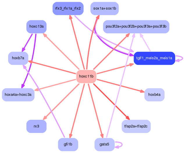 PNG image of the network