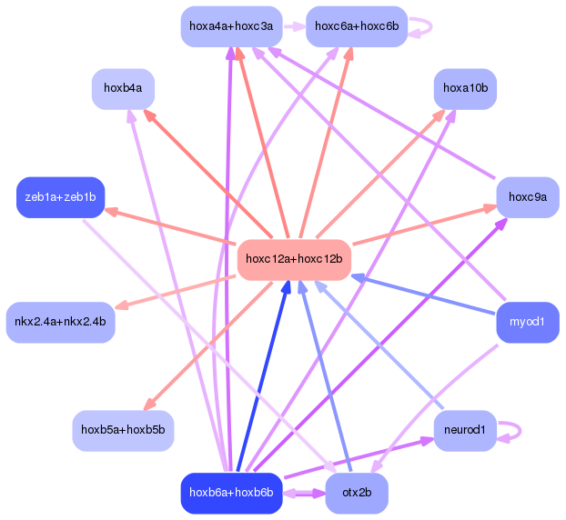 PNG image of the network