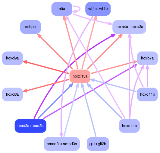 PNG image of the network