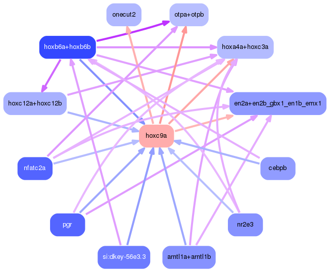 PNG image of the network