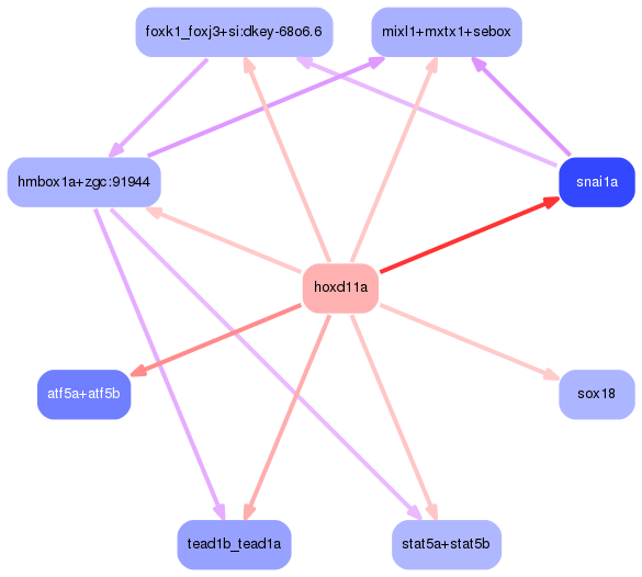 PNG image of the network