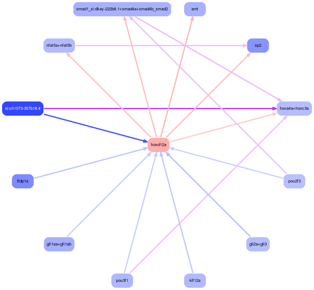 PNG image of the network