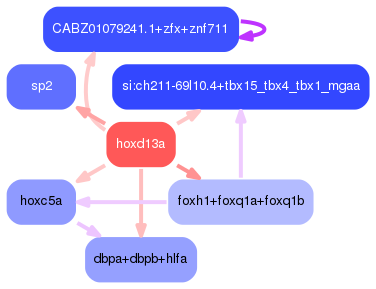 PNG image of the network