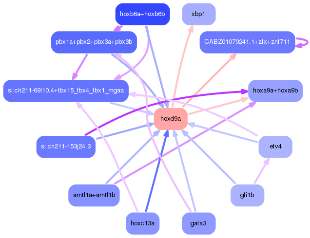 PNG image of the network