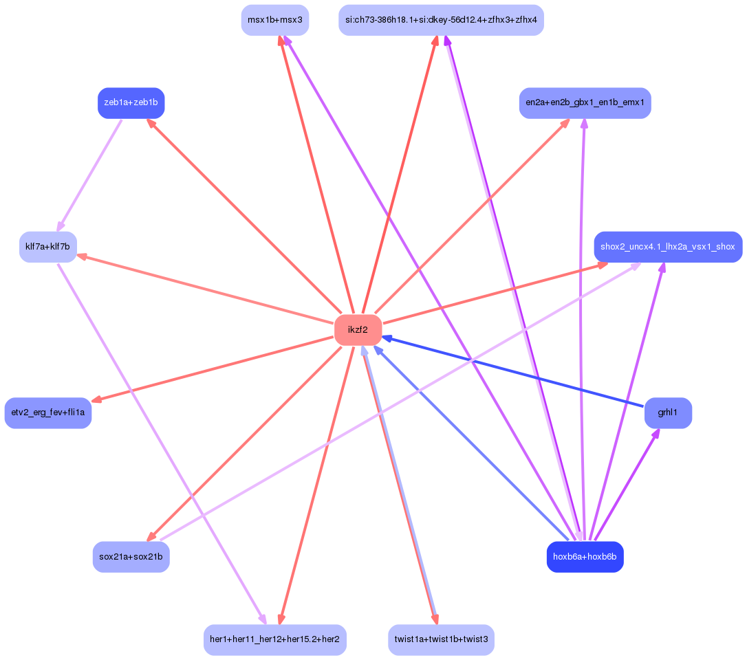 PNG image of the network