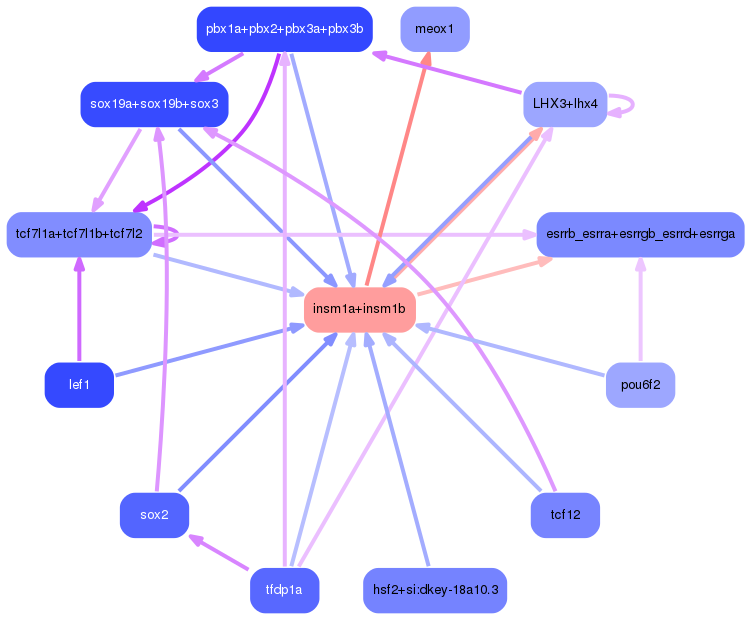 PNG image of the network